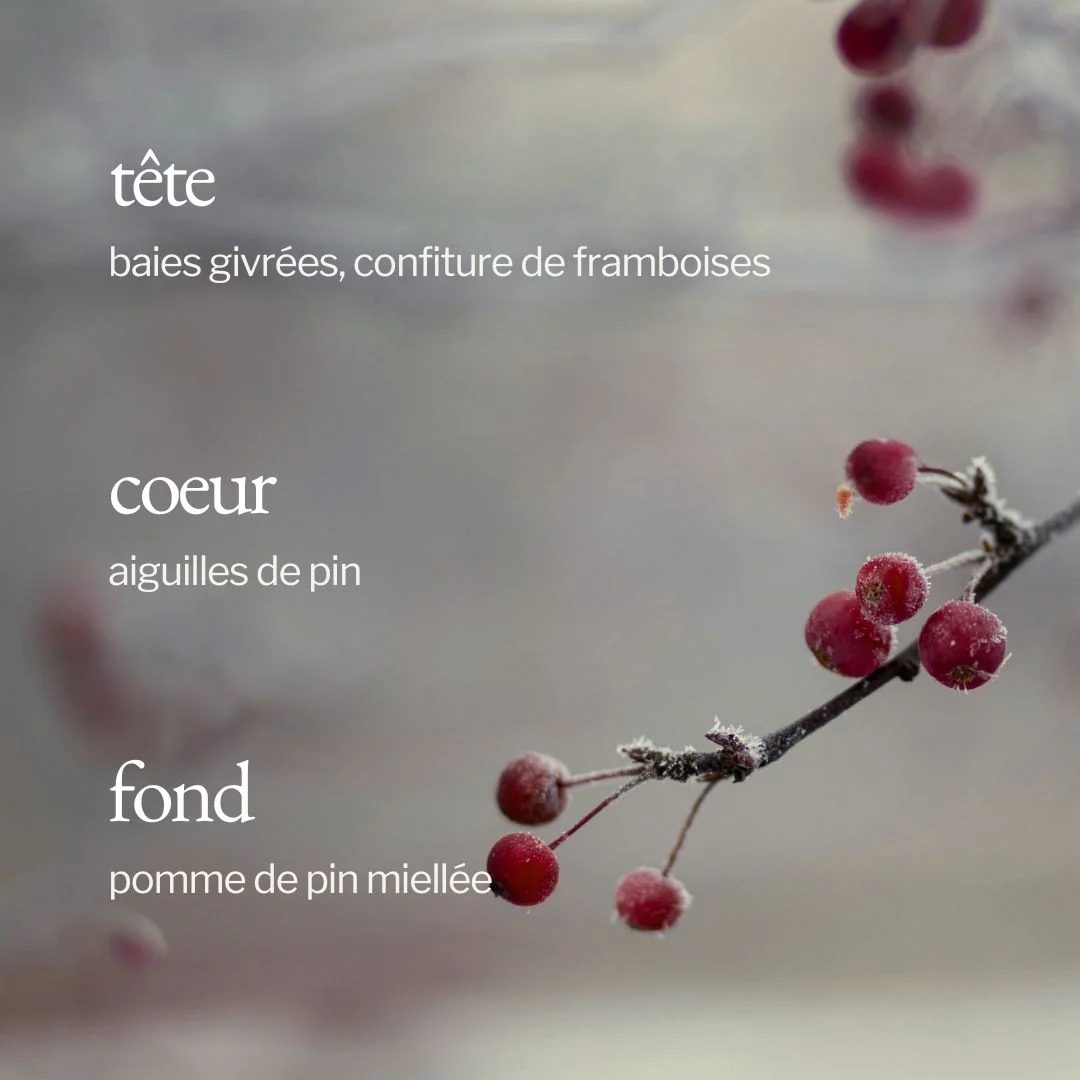 Diffuseur à roseaux | Baies givrées + Pin - SOJA & CO