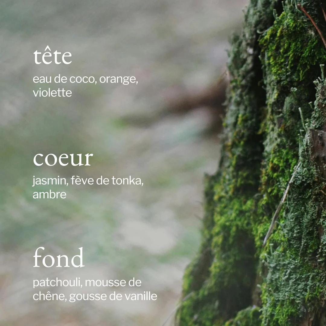 Bougie | Mousse de chêne + Bergamote - SOJA&CO