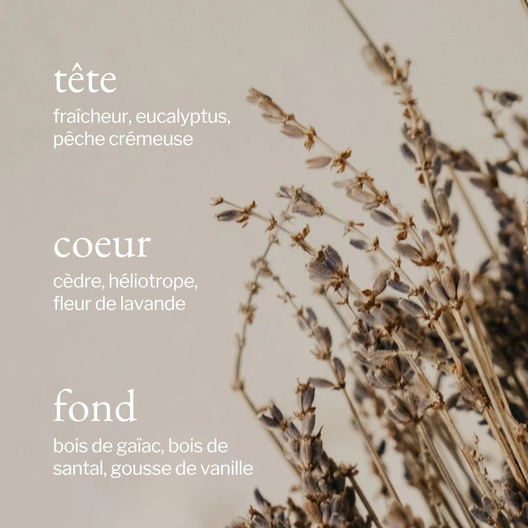 Bougie | Lavande, Bois de santal & Vanille - SOJA&CO