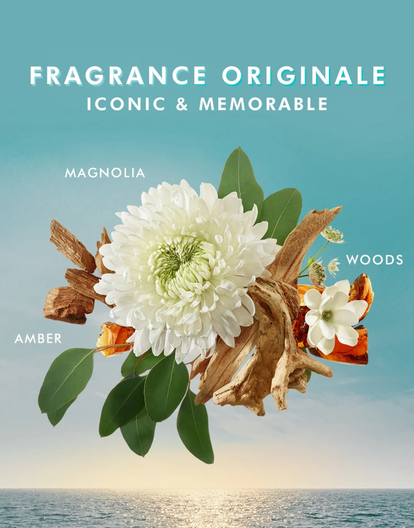 Kit de Voyage Soins du Corps - moroccanoil