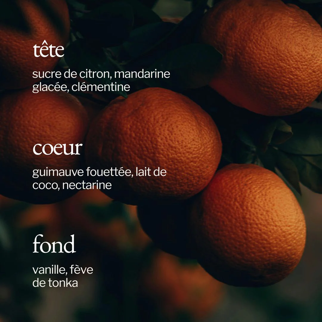 Bougie | Guimauve + Clémentine - SOJA & CO