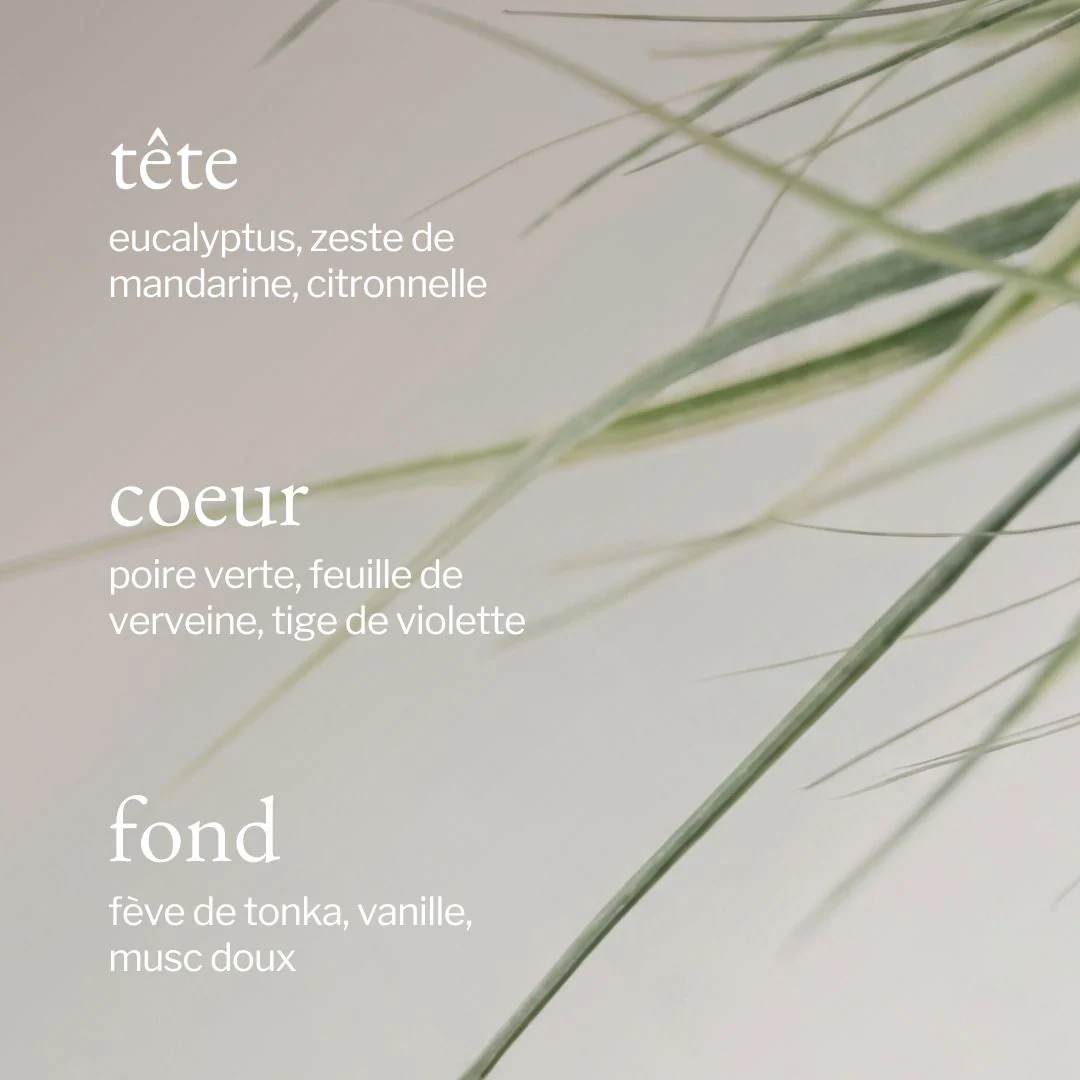 Bougie | Citronnelle + Eucalyptus - SOJA&CO