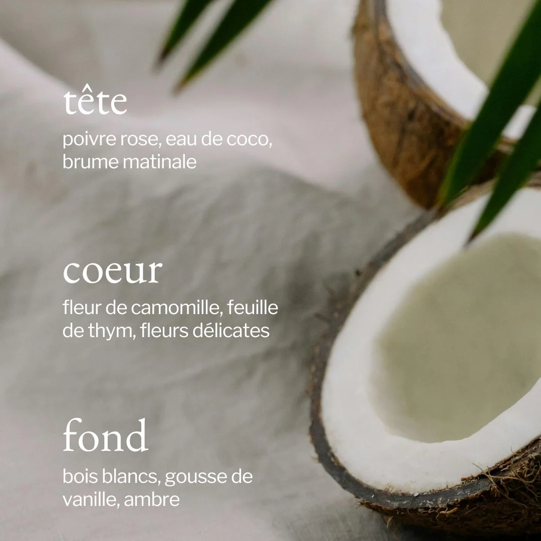 Diffuseur à roseaux | Thym + Coco - SOJA&CO