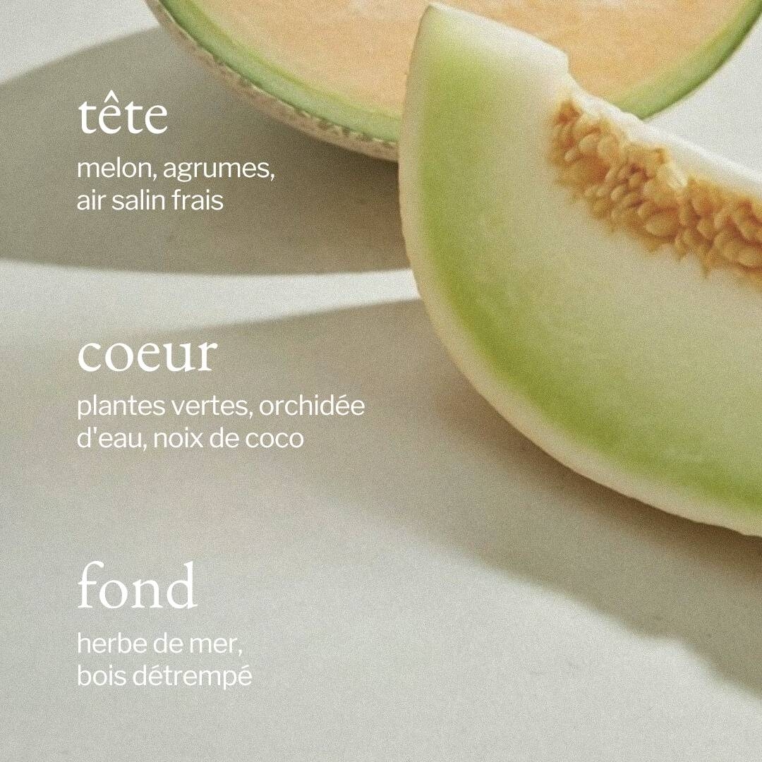 Diffuseur à roseaux | Melon + Air salin - SOJA&CO