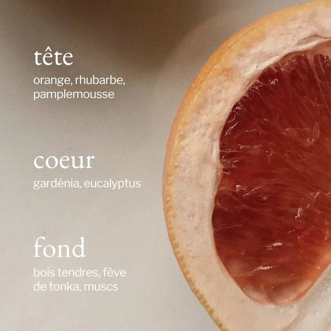 Bougie | Eucalyptus + Pamplemousse - SOJA & CO