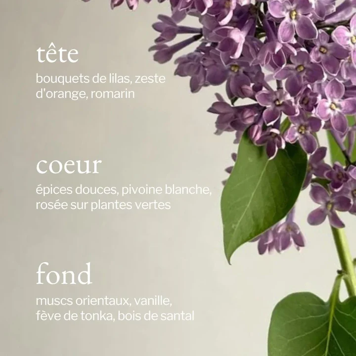 Bruine d'ambiance | Lilas + Romarin - SOJA&CO