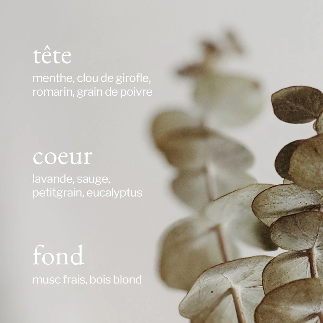 Savon à mains liquide | Eucalyptus, Menthe & Romarin - SOJA&CO